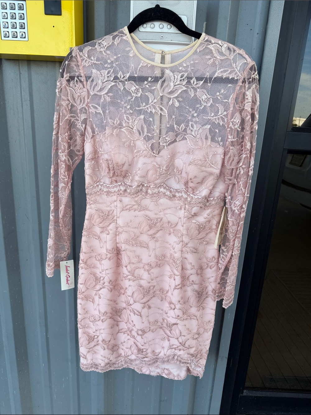 Blush Pink Lace Long-Sleeve Sheath Dress